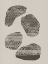 Picture of STONES. ORGANIC PATTERNED SHAPES.