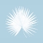 Picture of TROPICAL BLUE 1