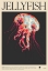 Picture of JELLYSFISH