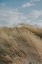 Picture of DSC07168