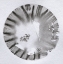 Picture of GLOBE 18