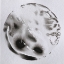 Picture of GLOBE 46
