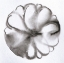 Picture of GLOBE 50