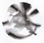 Picture of GLOBE 51
