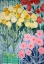Picture of SUMMER FRAGMENT