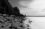 Picture of BEACH SHORELINE