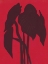 Picture of PLANT IN THE RED ROOM