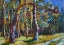 Picture of PINE FOREST