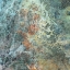Picture of TITANITE.PNG