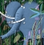 Picture of LARGE ELEPHANT PEEKS OUT OF THE JUNGLE BY ARTIST CARLA DALY