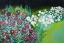 Picture of MIDNIGHT LANDSCAPE DREAM