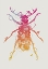 Picture of BEETLE 2