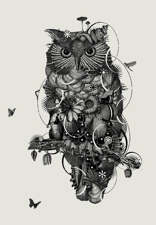 Picture of OWL