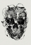 Picture of SKULL
