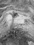 Picture of ABSTRACT ARTWORK GREYSCALE #4