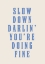 Picture of SLOW DOWN DARLING YOURE DOING FINE