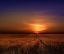 Picture of MORNING