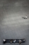 Picture of HUMAN SPACE