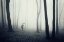 Picture of NOWHERE