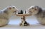 Picture of PLAYING  CHESS!