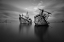Picture of SHIPWRECK