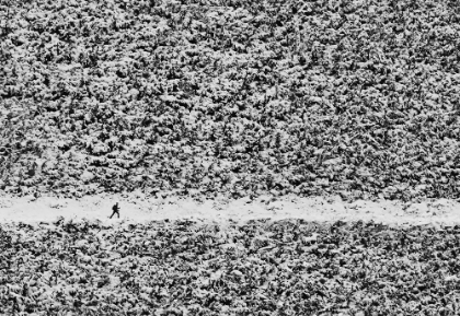 Picture of WALKING THROUGH CONFUSION