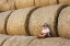 Picture of HAYSTACKS