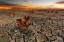Picture of DRY LAKE