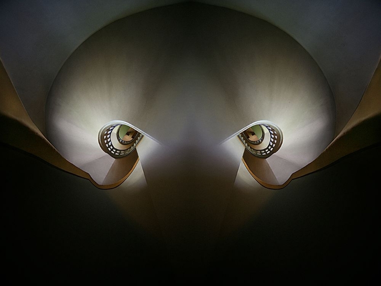 Picture of OCTOPUS