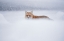 Picture of ISOLATION