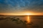 Picture of MORNING SUN