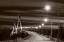 Picture of TINTED BRIDGE