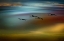 Picture of THE FLIGHT