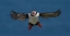 Picture of SUCCESSFUL FISHING TRIP !!