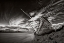 Picture of FINAL DESTINATION (MONO)