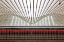 Picture of THE RED LINE
