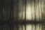 Picture of ABSOLUTE SILENCE
