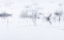 Picture of IN SILENCE