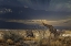 Picture of SUNRISE IN ETOSHA NP