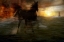 Picture of HORSES OF FIRE