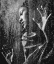Picture of UNTITLED