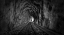 Picture of IN THE BOWELS OF THE MOUNTAIN-BW