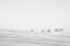 Picture of SNOWLINES