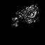 Picture of LADY EYES