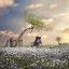 Picture of SPRING HAS COME