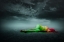 Picture of COLORFUL IS JUST A DREAM