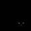 Picture of WATCHING YOU FROM THE DARK SIDE