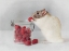 Picture of ALWAYS EAT HEALTHY :)