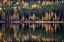 Picture of AUTUMN