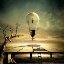 Picture of NIGHTWALK